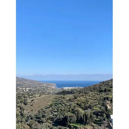 Olive Junior Апартаменты Fallika