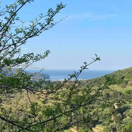 Olive Junior Апартаменты