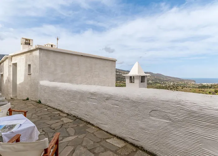 Olive Junior Daire Fallika